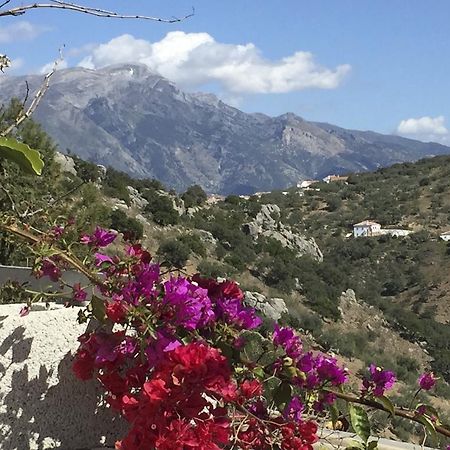 Loma Los Pelones 78 Viñuela المظهر الخارجي الصورة