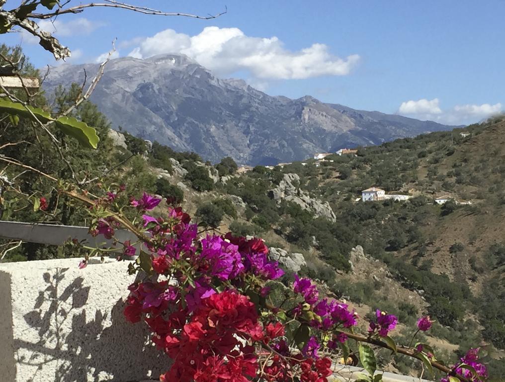 Loma Los Pelones 78 Viñuela المظهر الخارجي الصورة